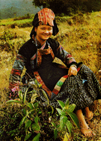 Культурные особенности народности Буи - ảnh 3